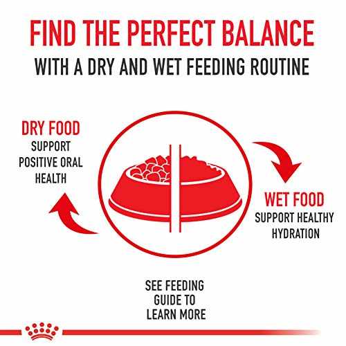 Thin Slices in Gravy Wet Cat Food, 3 oz, Case of 24 Q194006