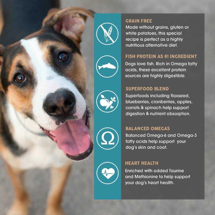 Grain Free Dog Food R7546