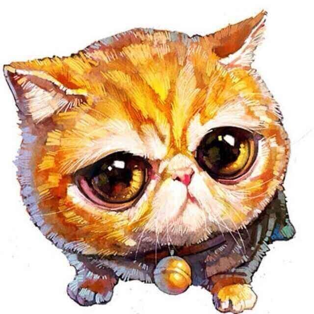 Cat Canvas Painting Wall Art W2196