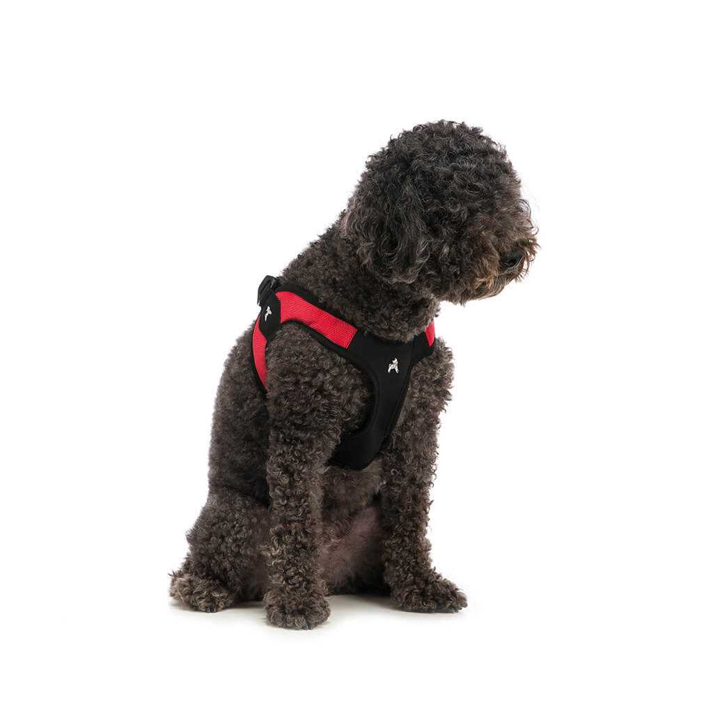 Dog Harness X4327