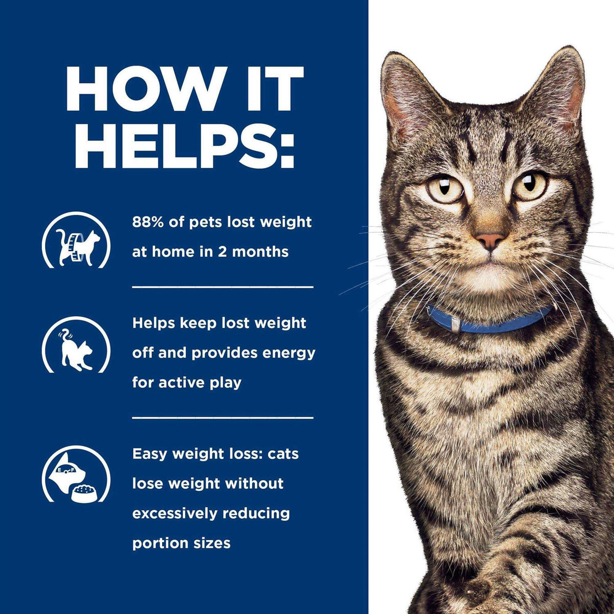 Metabolic Feline Dry Food A26888