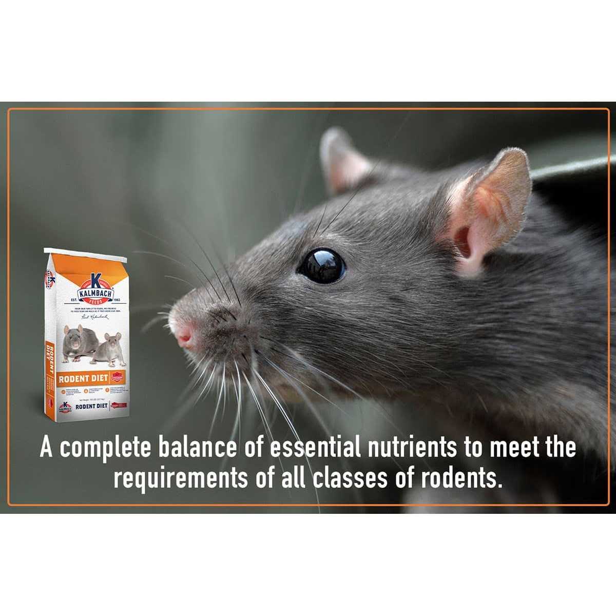 Rodent Diet Cubes Rats & Mice Food U528524
