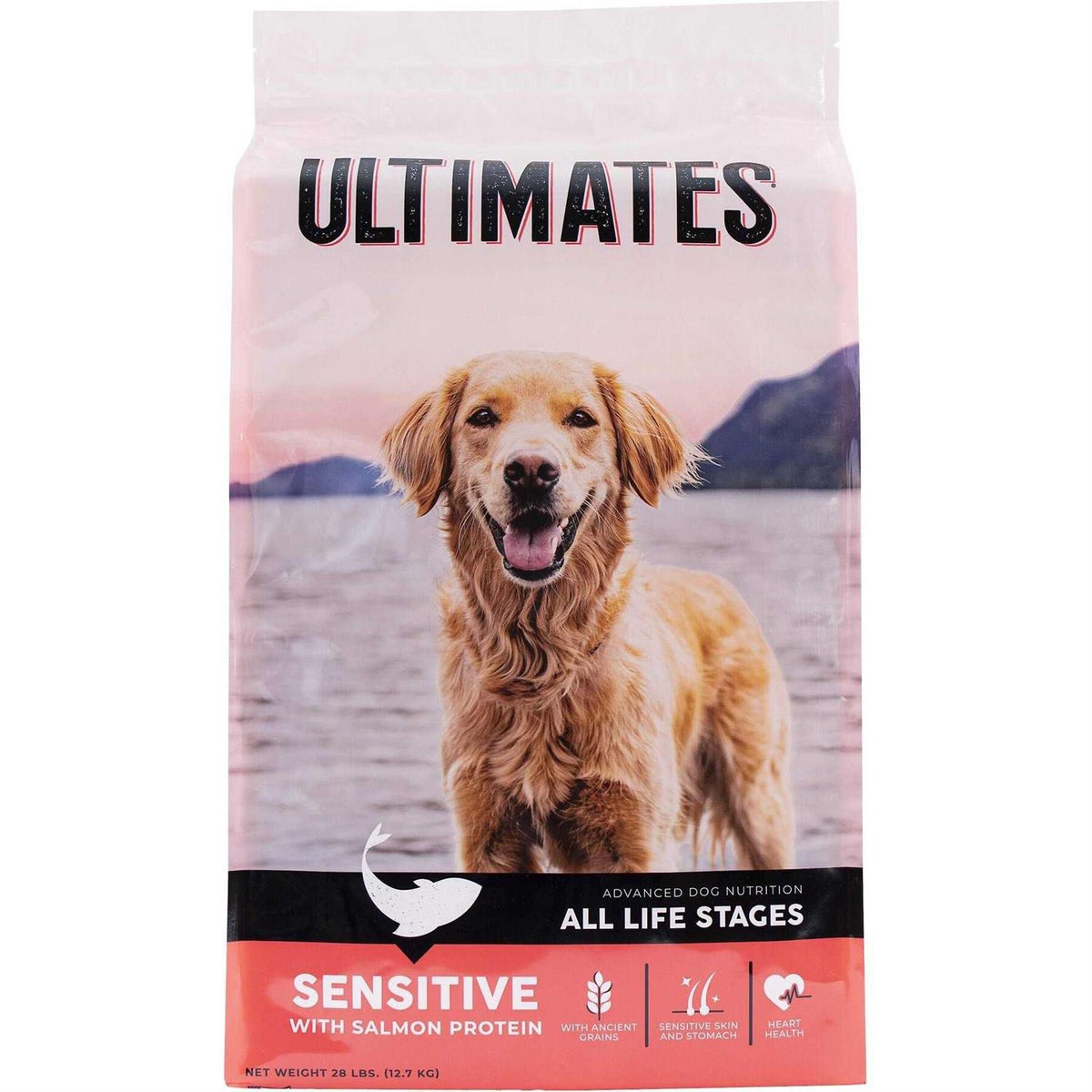 Sensitive Salmon Dry Dog Food P49533