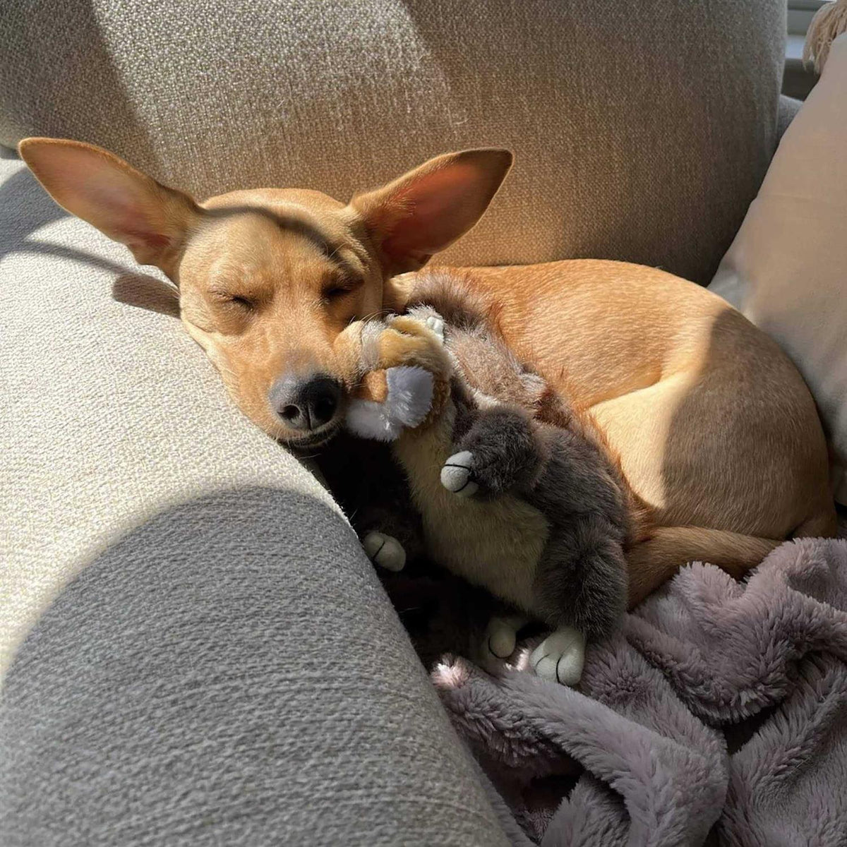 Plush Dog Toy M1970