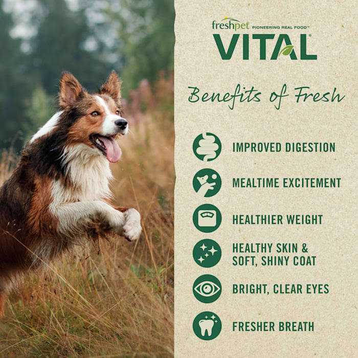 Grain-Free Chicken Small Breed Dog Food G746