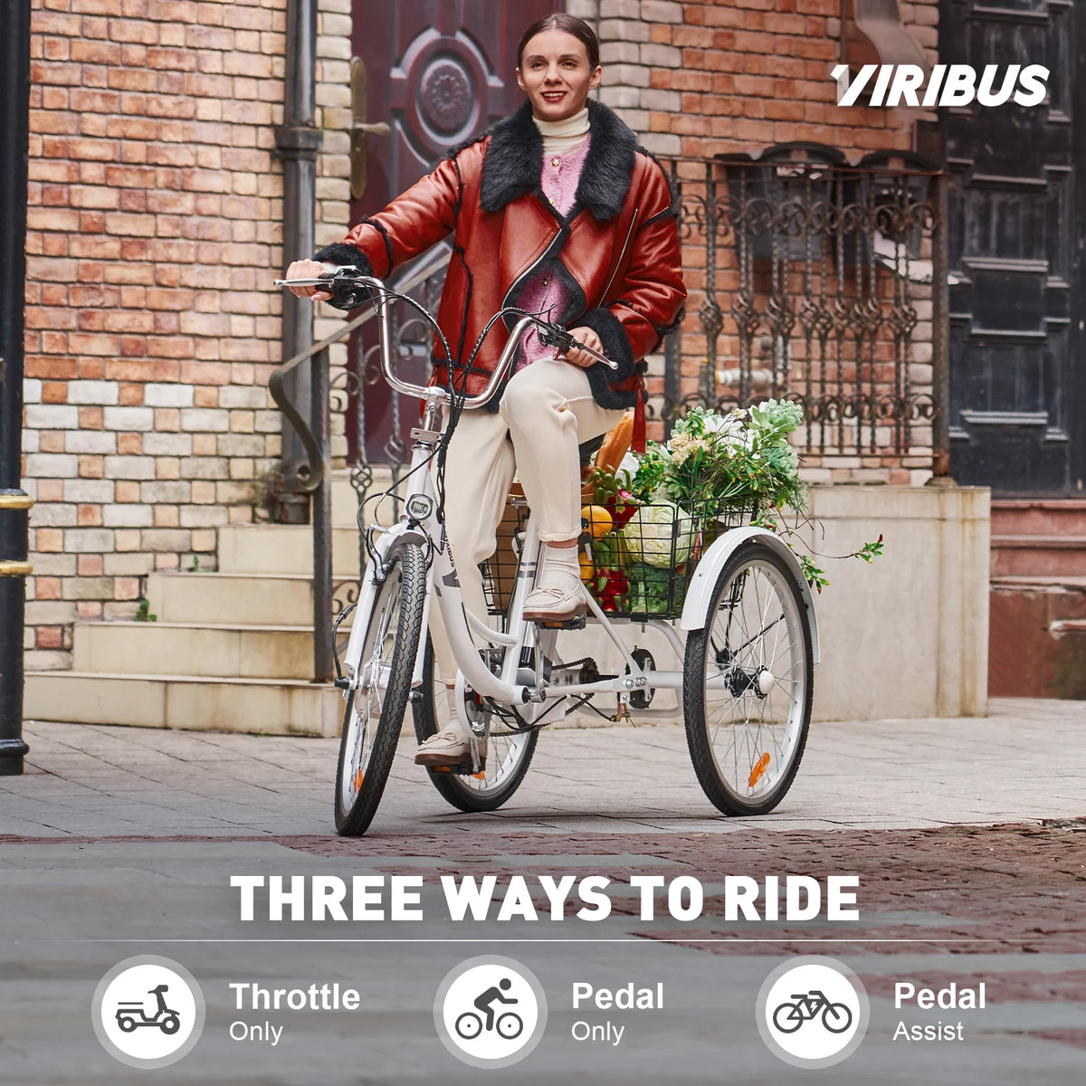Electric Tricycle for Adults 3 Wheel 250W White O908