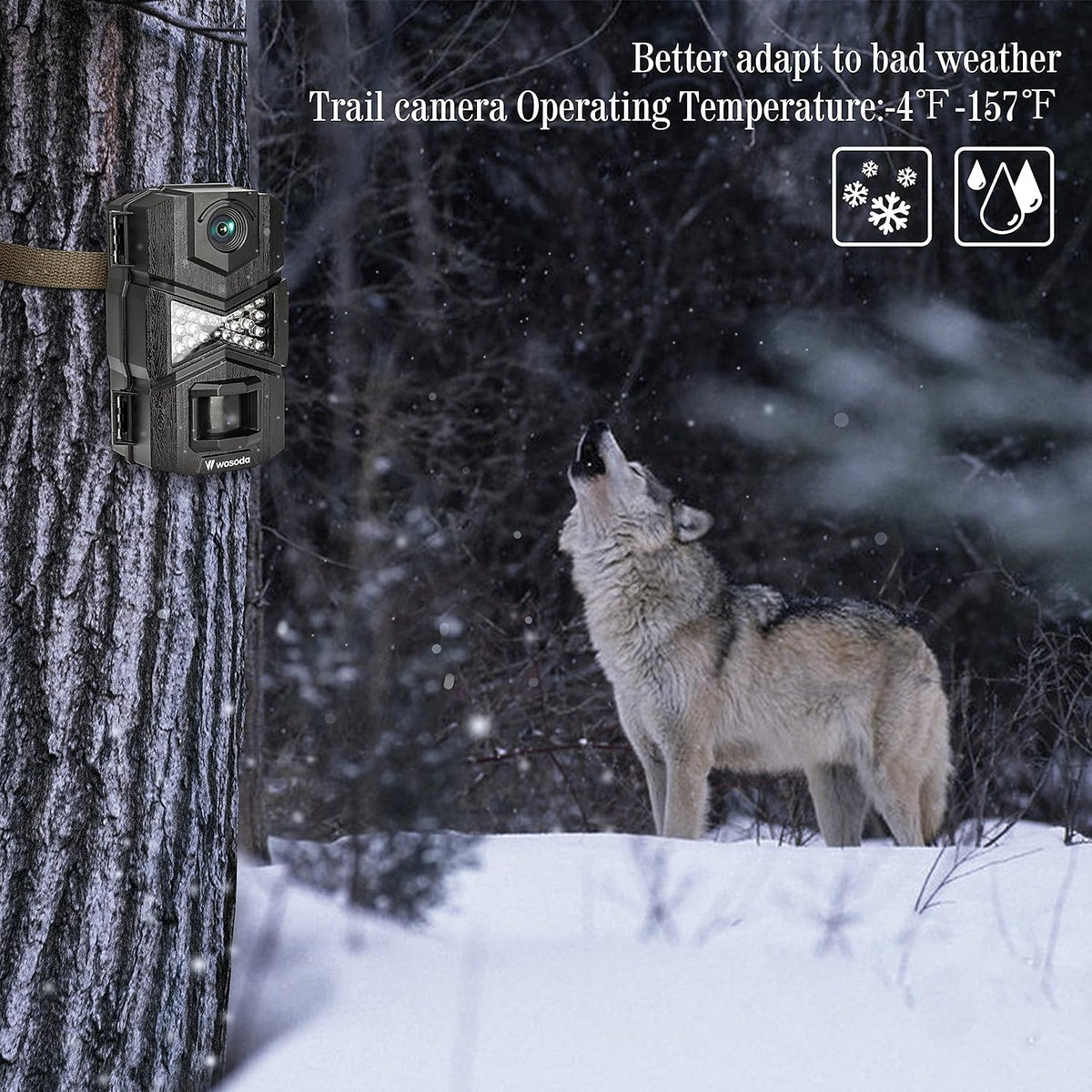 16MP 1080P 2 Pack Trail Camera with Night Vision A81243