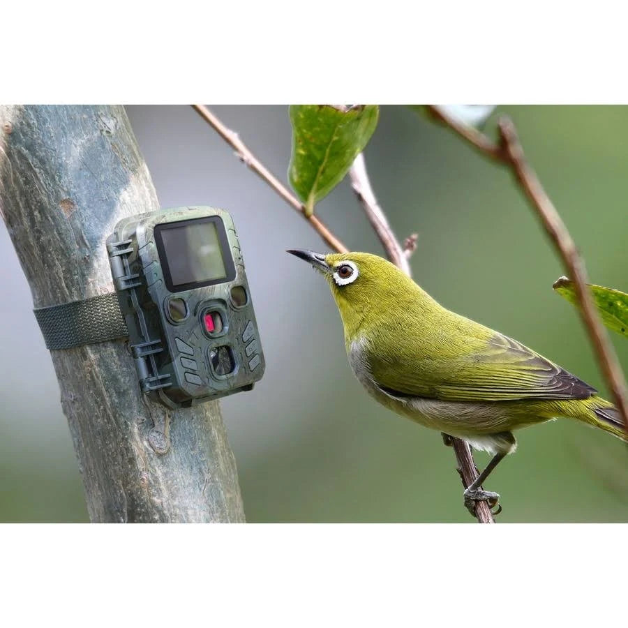 Mini Nature Wild Cam Camera Trap 1080p M724