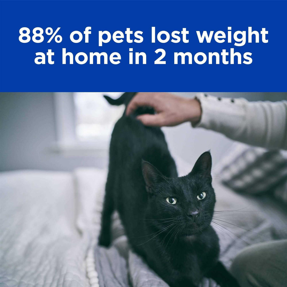 Metabolic Feline Dry Food A26888
