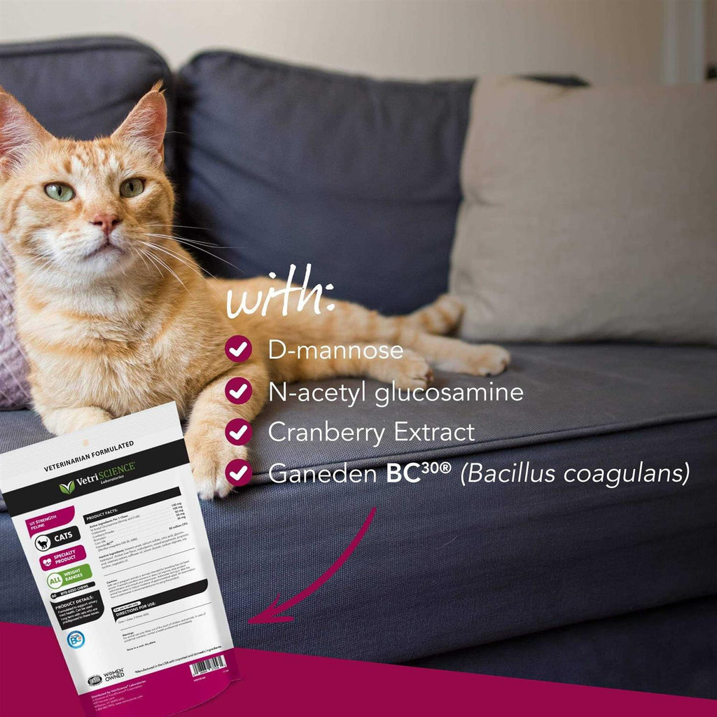 Cat Supplement H644164
