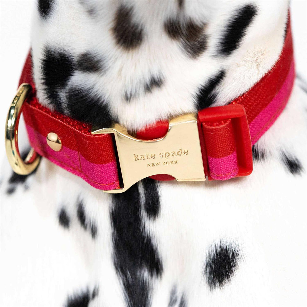 Red Pink Colorblock Dog Collar H7128
