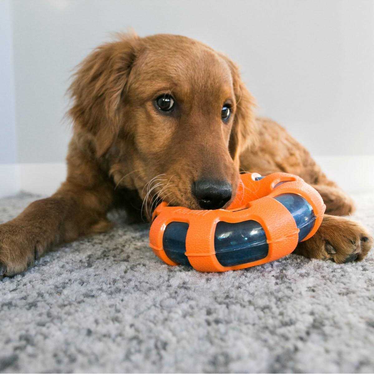 Ball Dog Toy T808