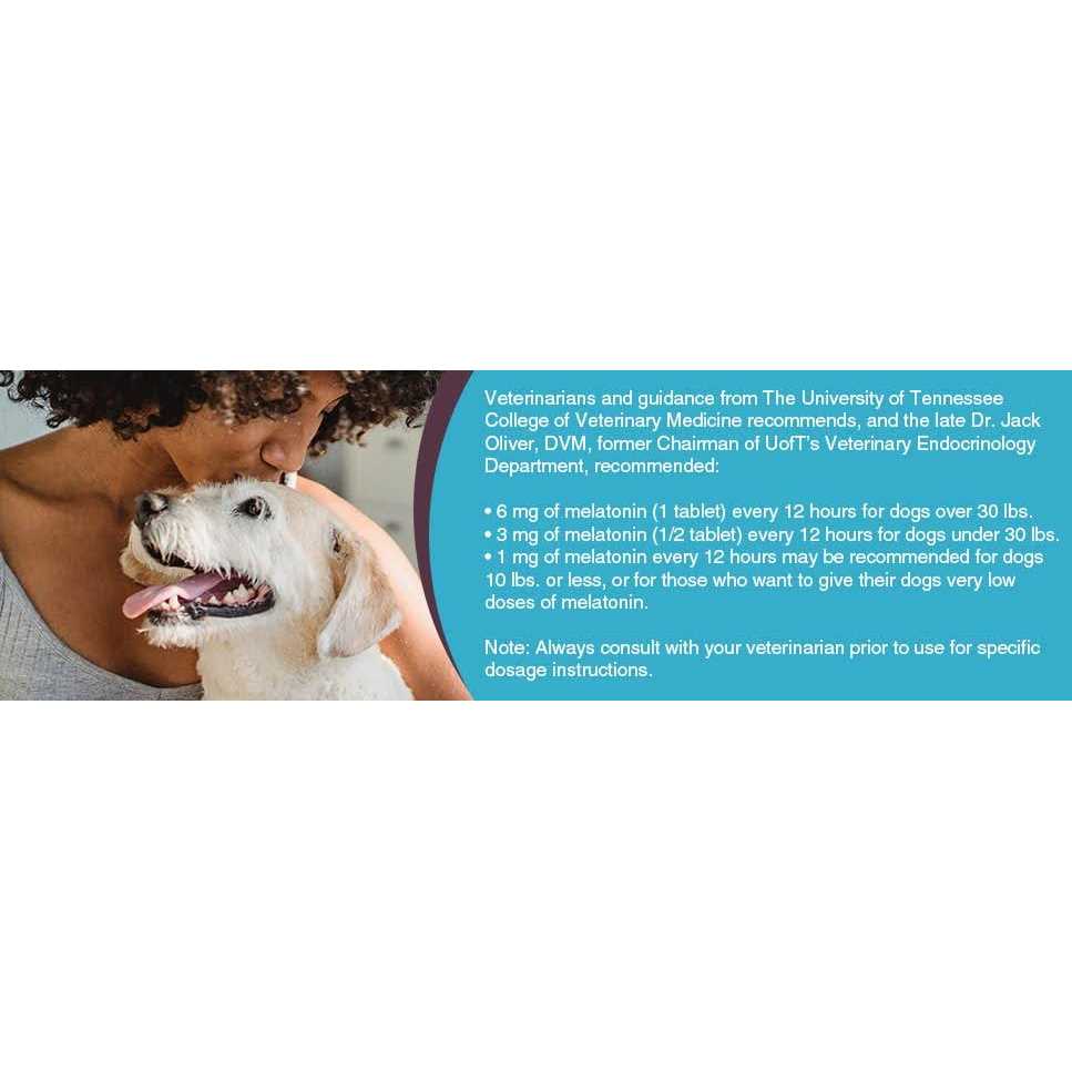 Melatonin for Small Dogs 1mg X8464