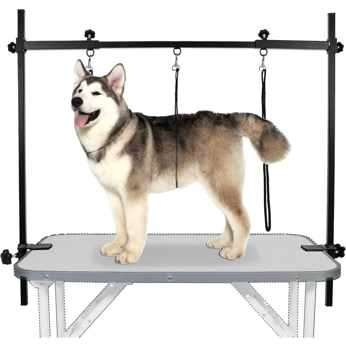 Dog Grooming Table Arm with 3 Noose and Clamp A7370