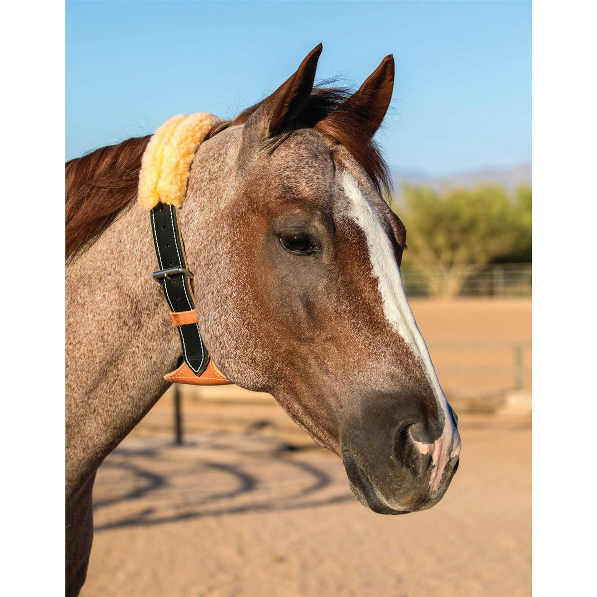 Cribbing Collar E74828