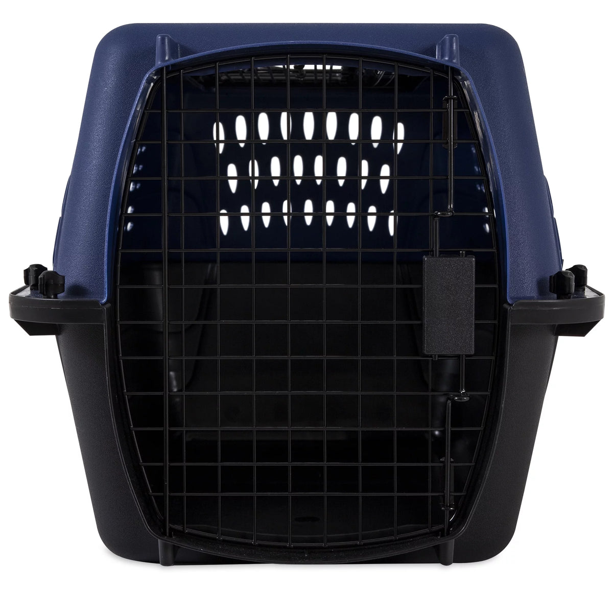 Blue 24 2-Door Plastic Pet Carrier J850096