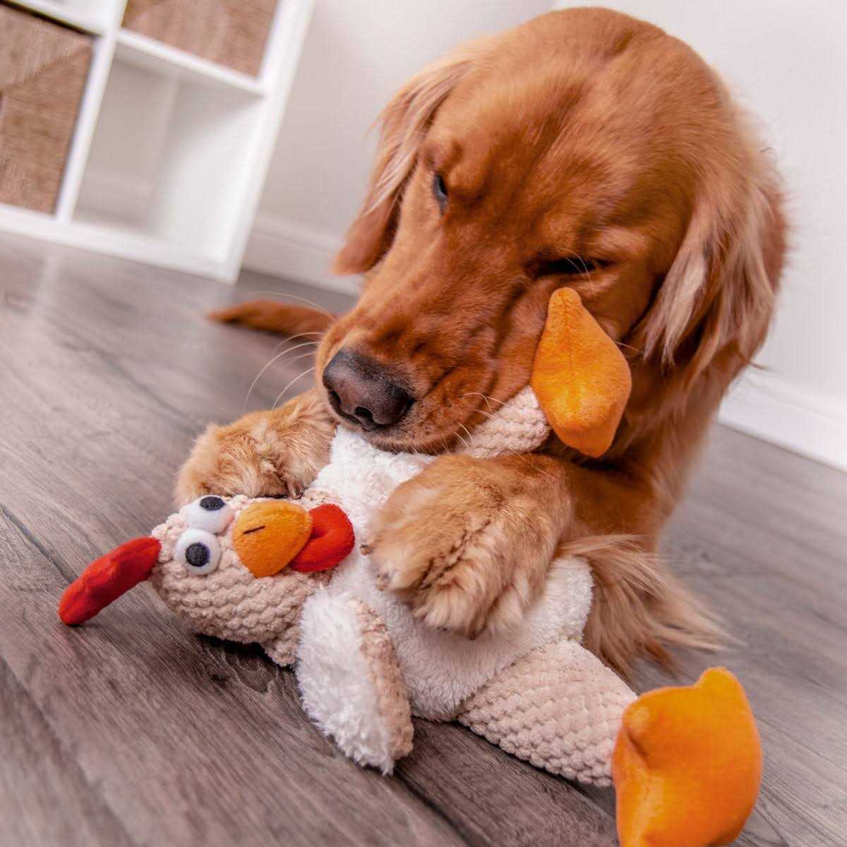 Dog Toy E390171