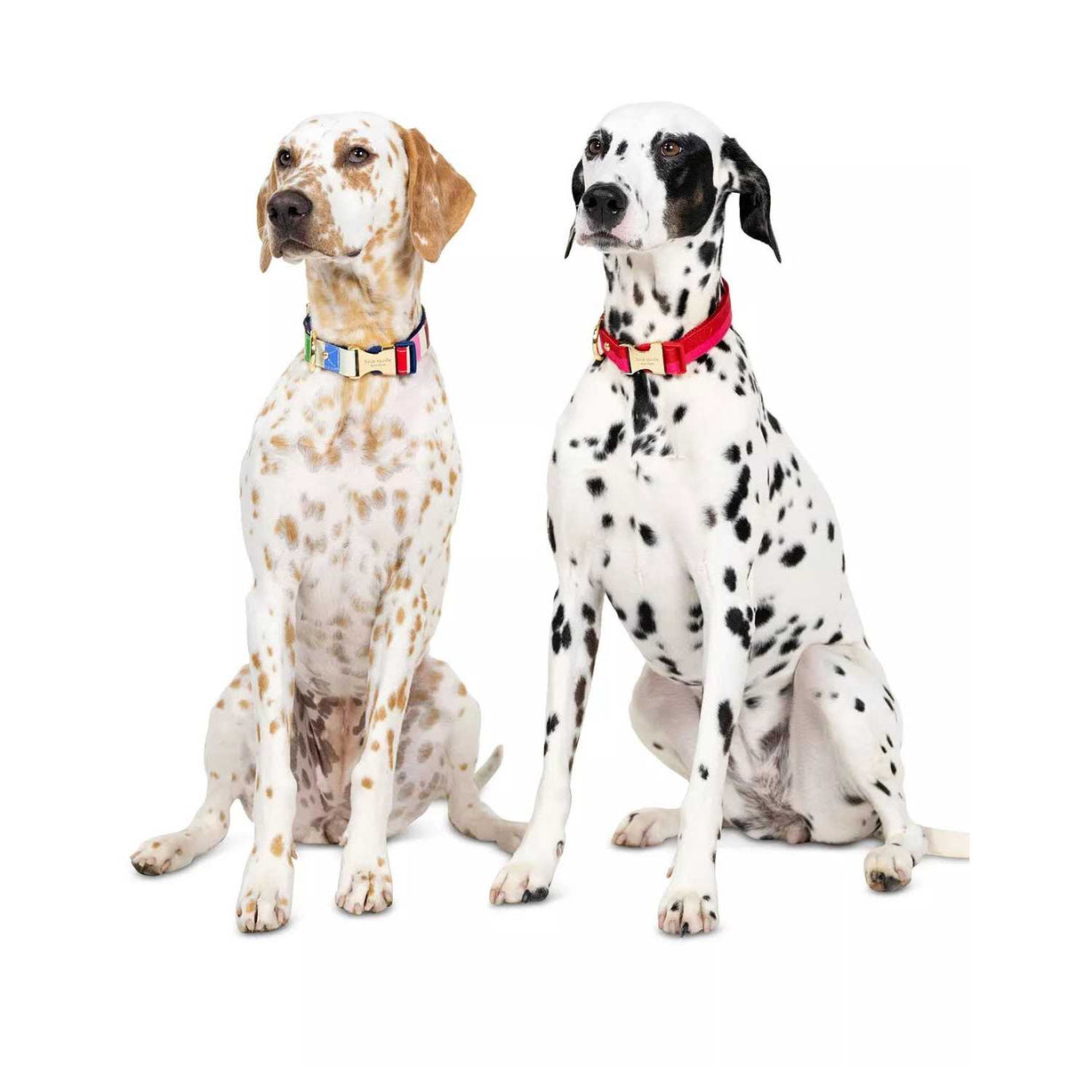 Red Pink Colorblock Dog Collar H7128