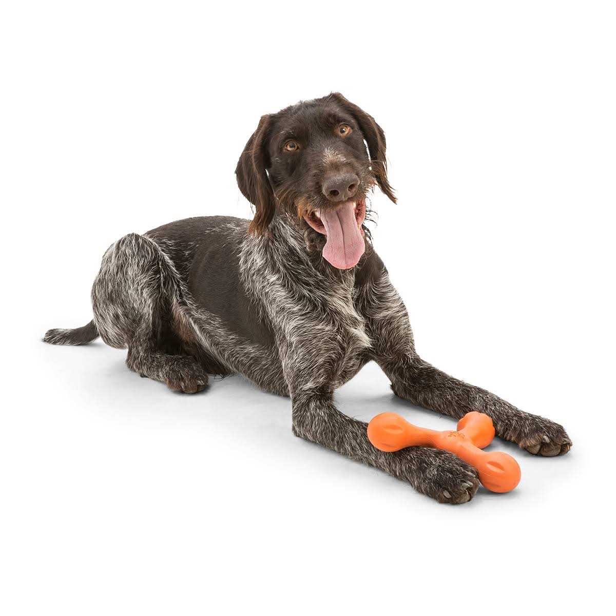 Dog Toy T490