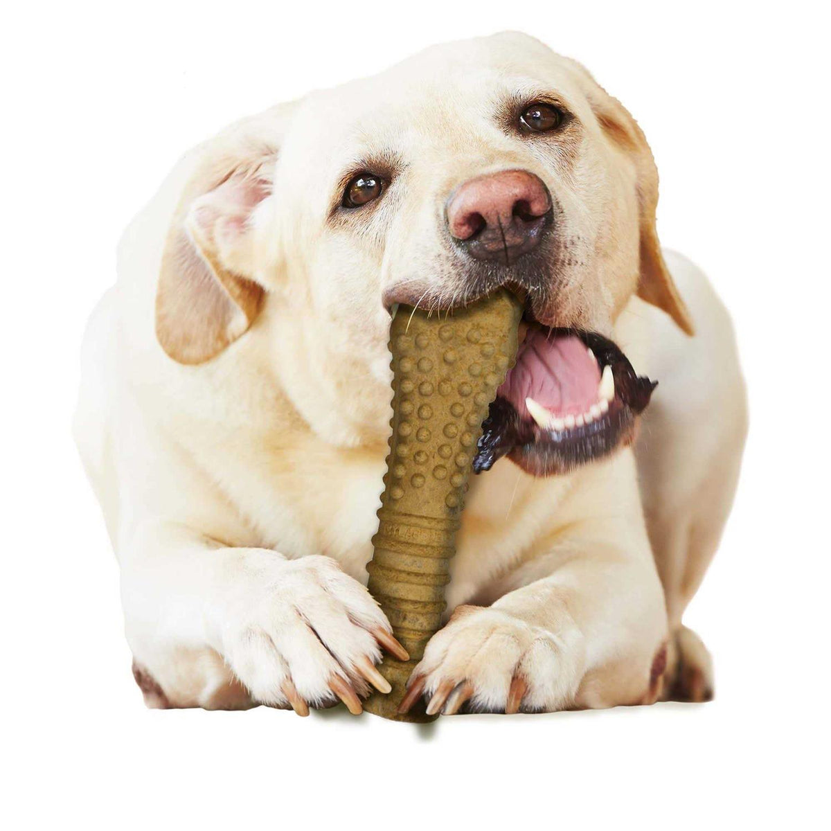 Peanut Butter Flavor Chew Treats O189713