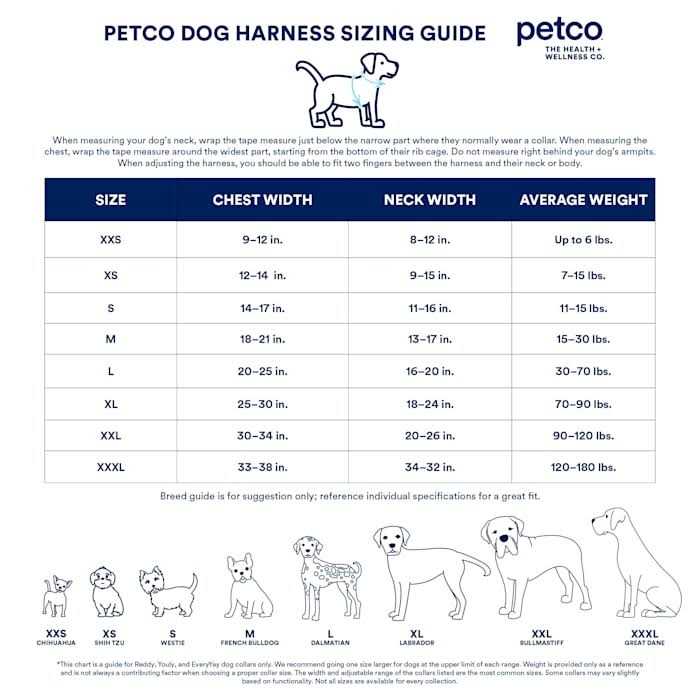 Black Dog Harness C58456