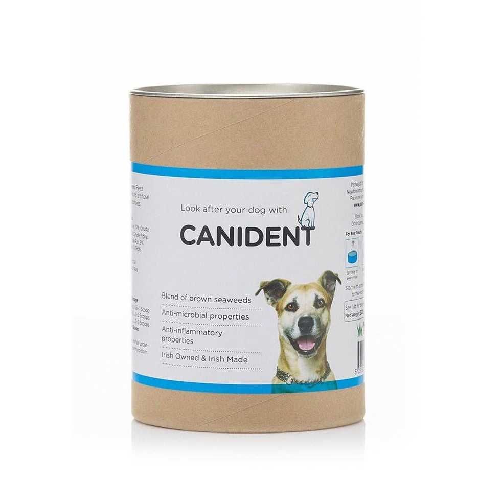Clean Dogs Teeth W1593