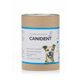 Clean Dogs Teeth W1593