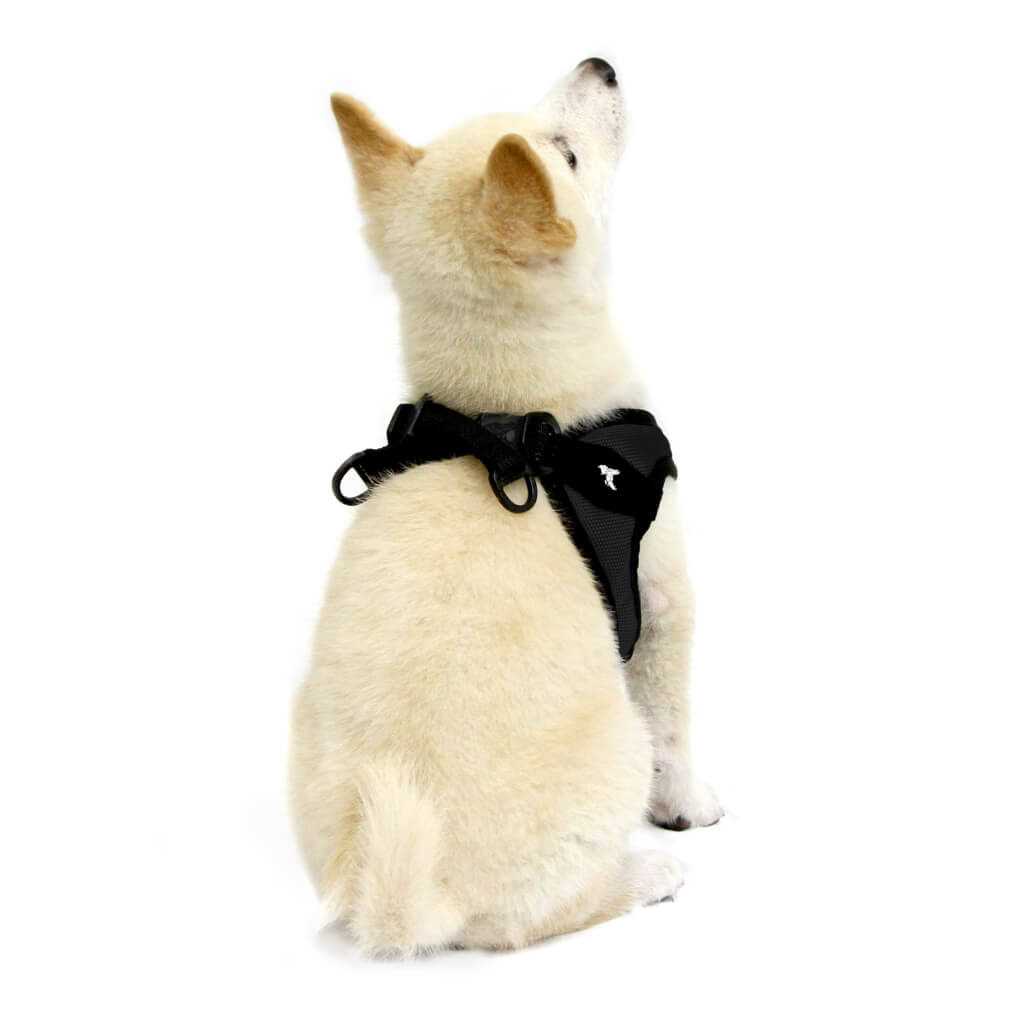 Dog Harness X4327