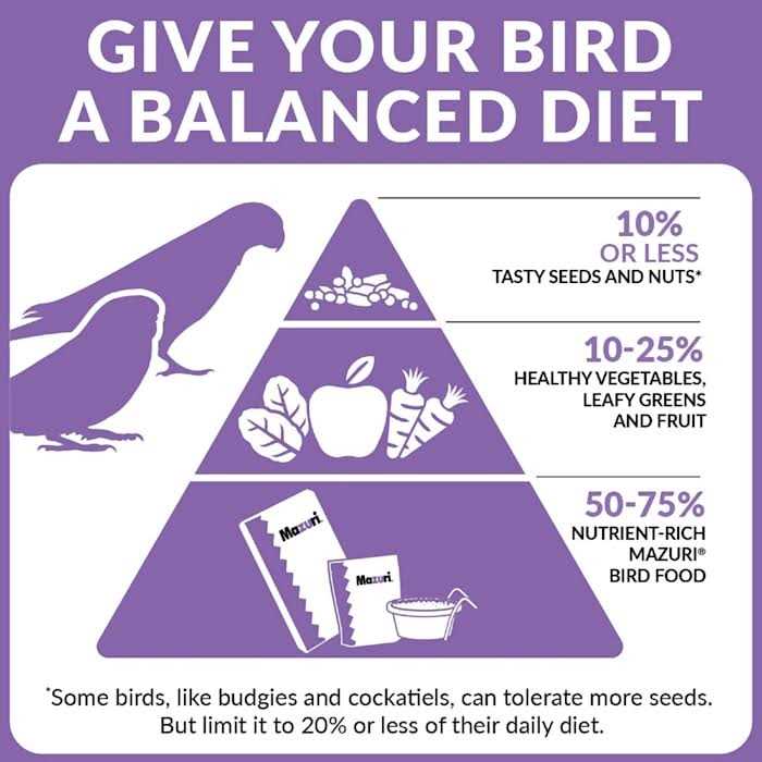 Parrot Bird Food E536