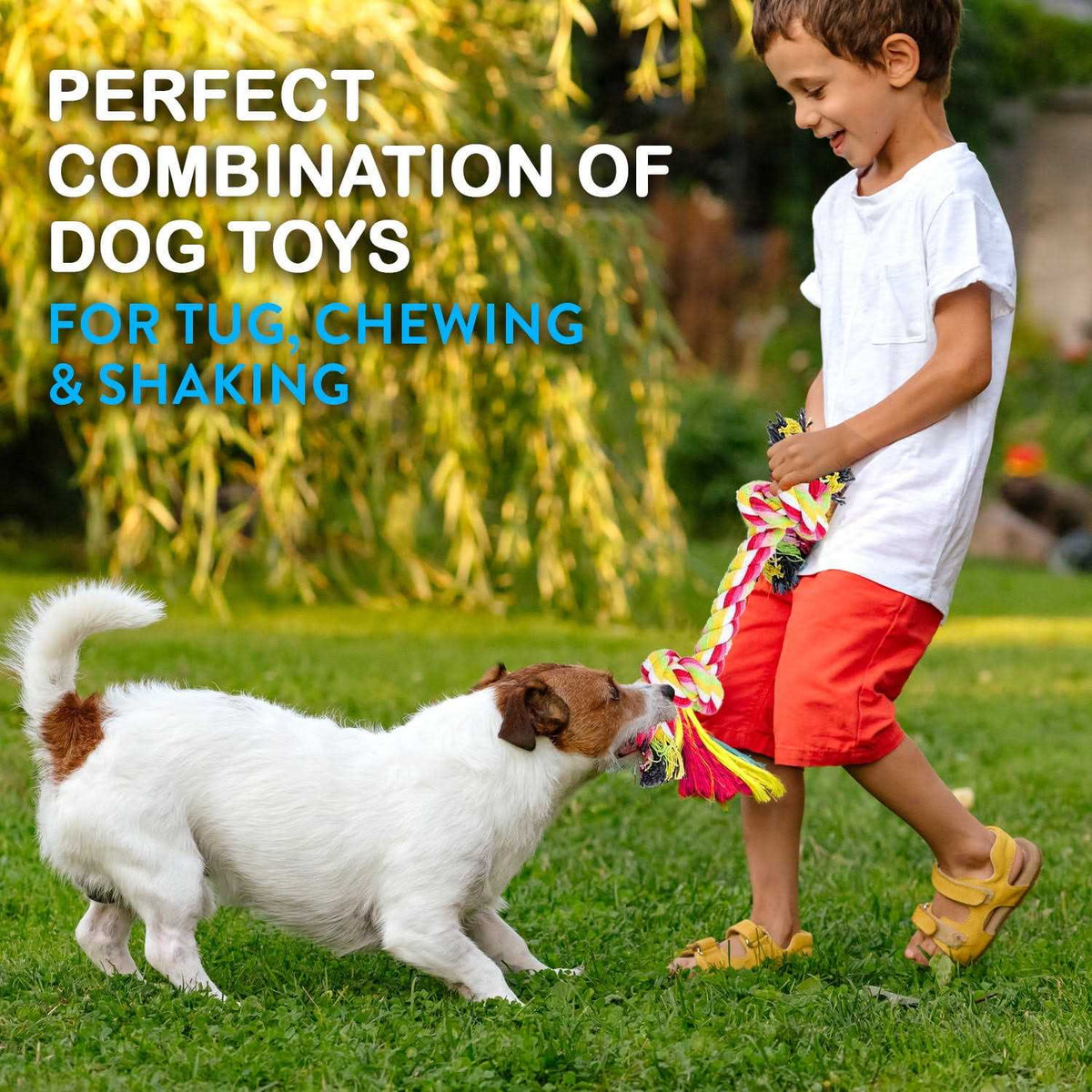 Dog Rope Toys Pack of 11 Teething Toys K94770
