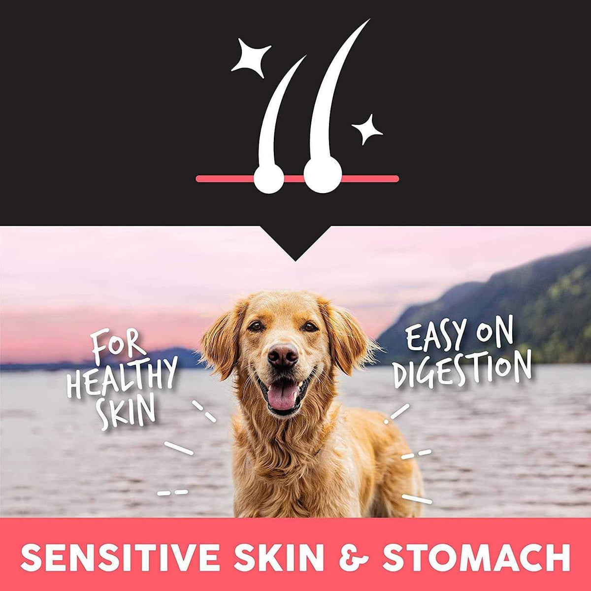 Sensitive Salmon Dry Dog Food P49533
