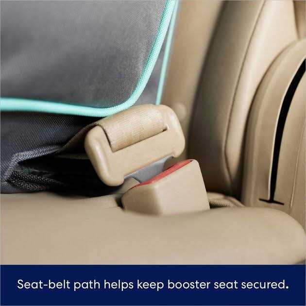 Travel Dog Booster Seat Y4050