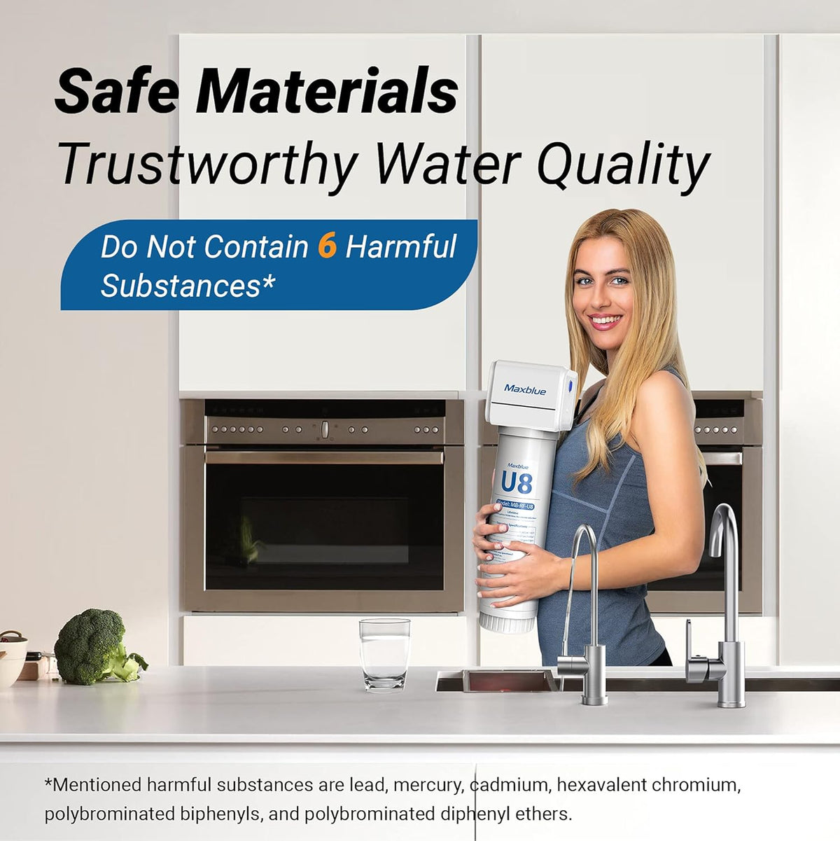 Under Sink Water Filter with Brushed Stainless Steel Faucet G576