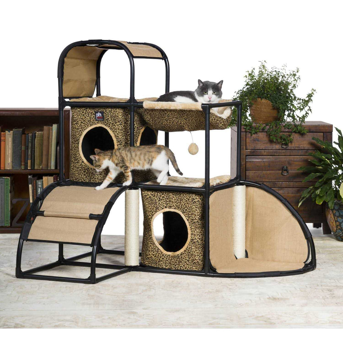 Leopard Print Cat Home C404