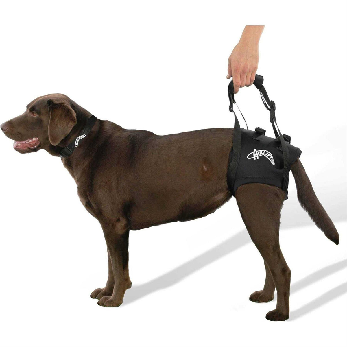 Support Harness K247382