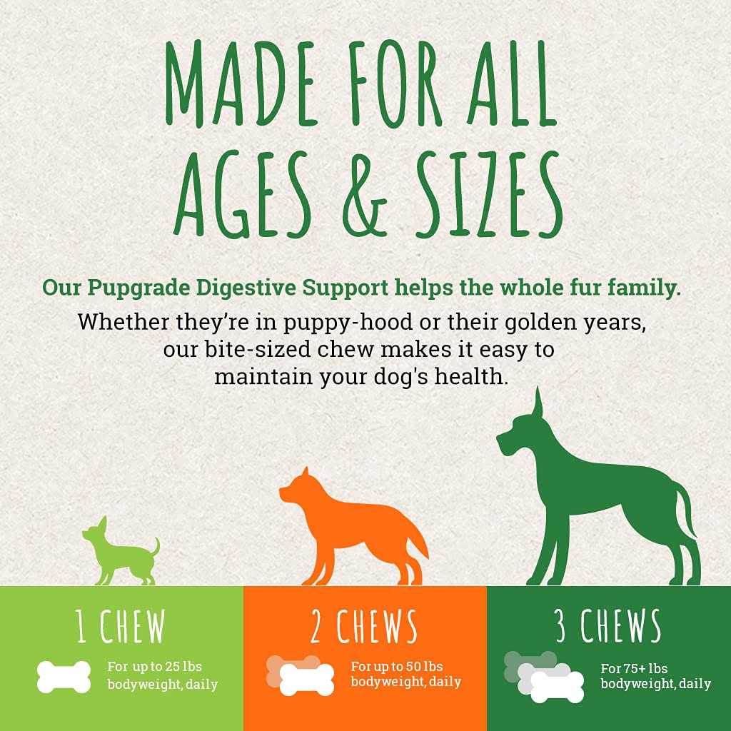 Digestive Support Chews for Dogs V653