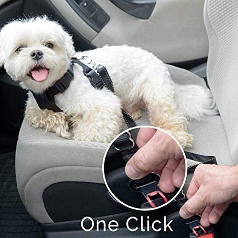 Double Sided Dog Grooming Brush and De-Matting Comb R2328