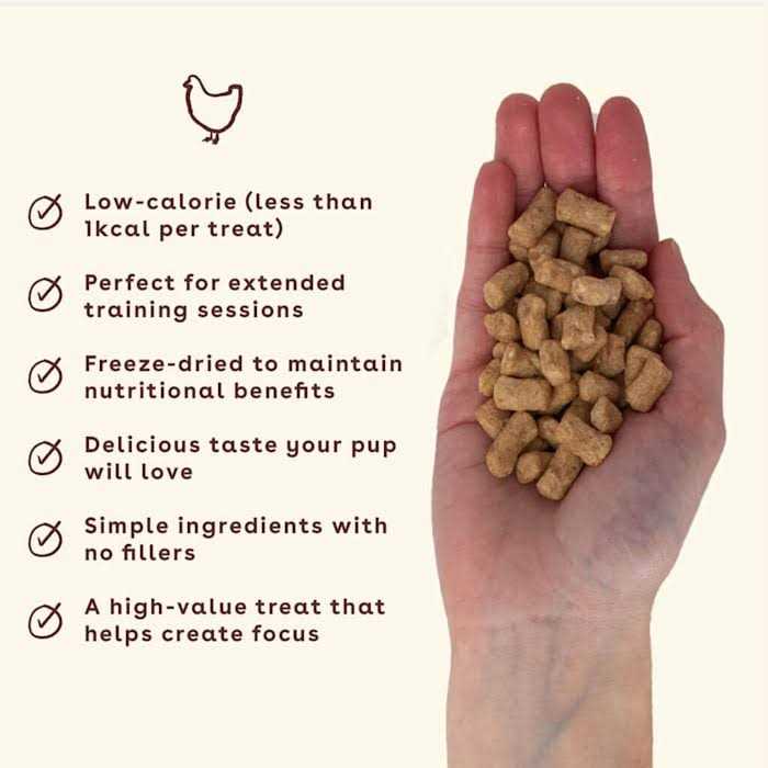 Chicken Freeze-Dried Dog Treats Y885403