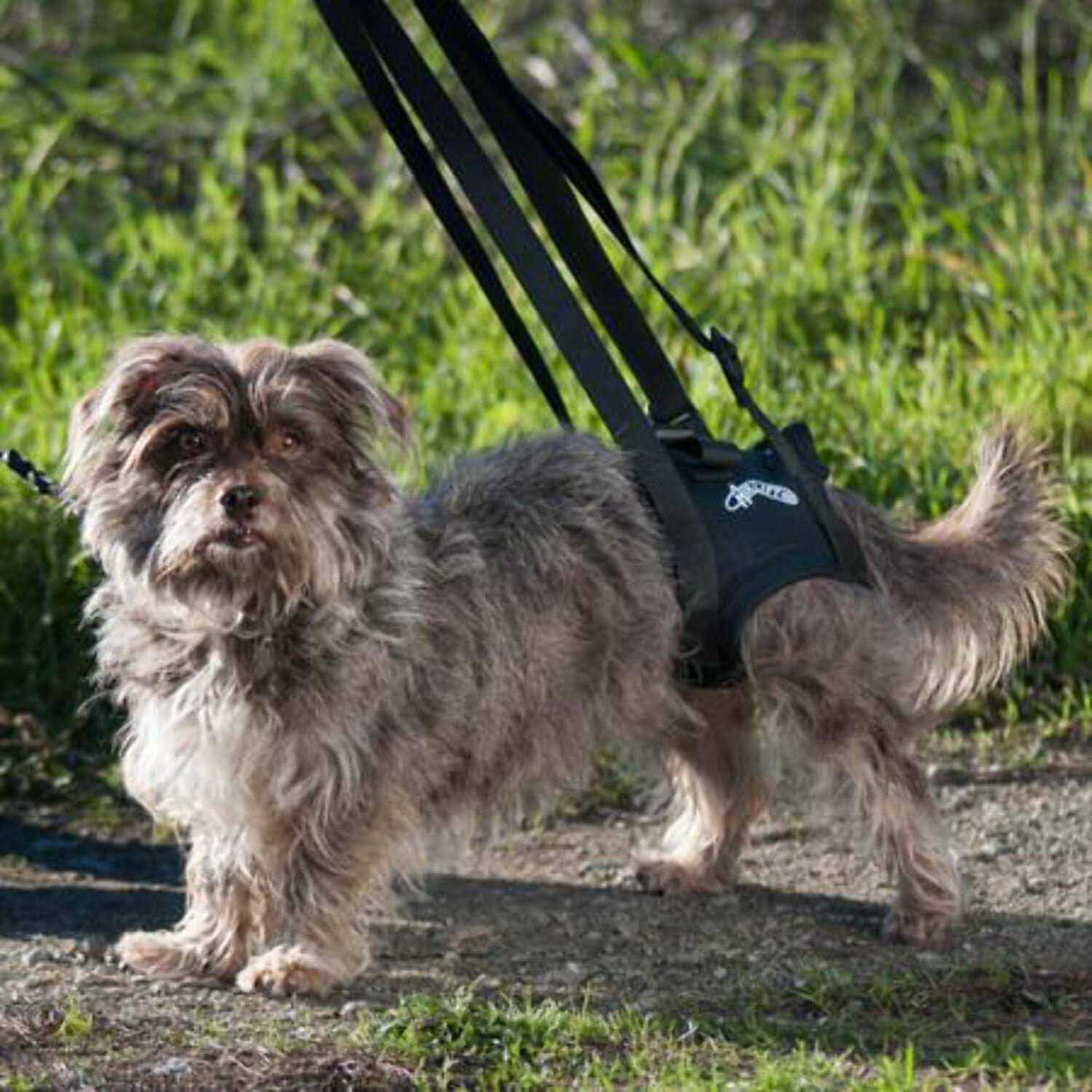 Support Harness K247382