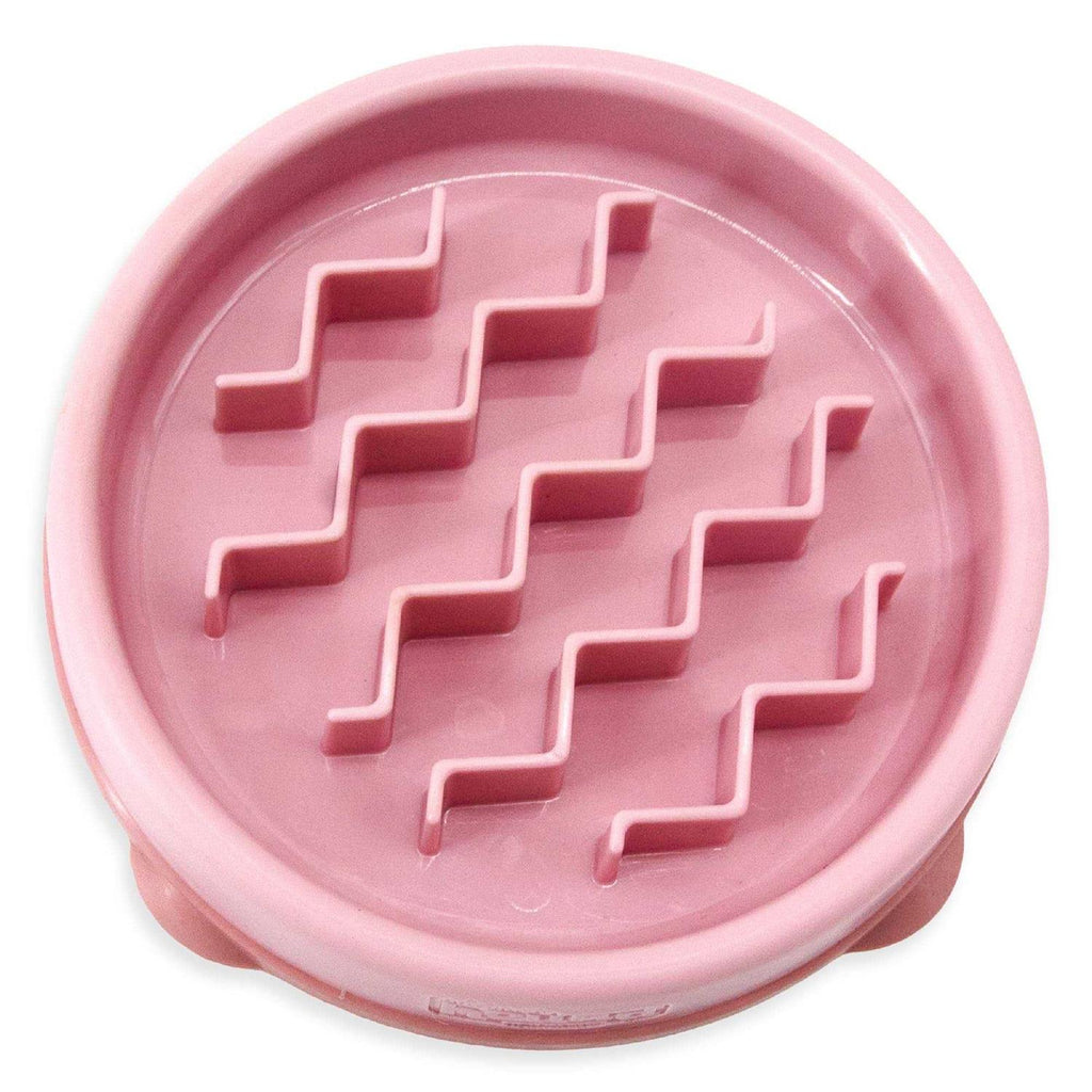 Slow Feeder Dog Bowl X32419