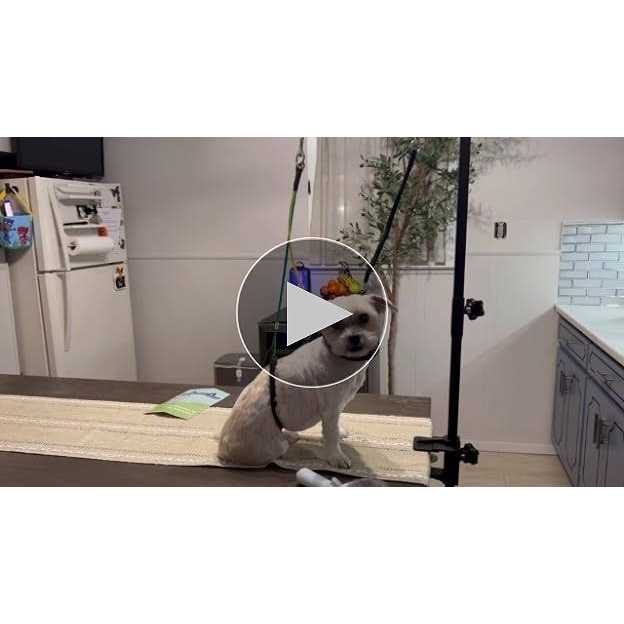 Adjustable Pet Grooming Table Arm with Clamp P5413