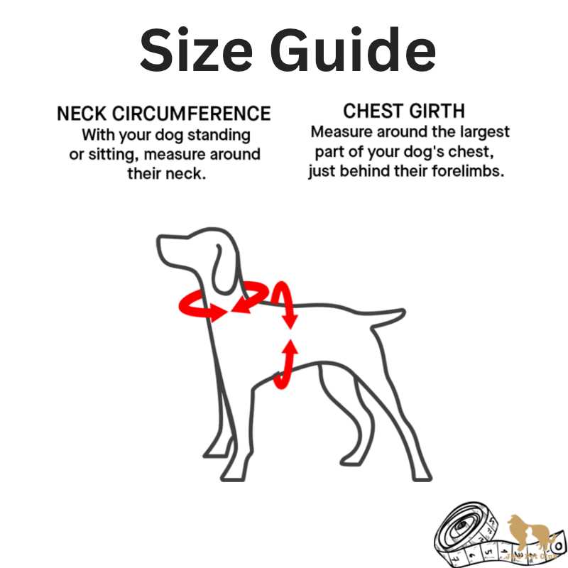 Dog Harness F971