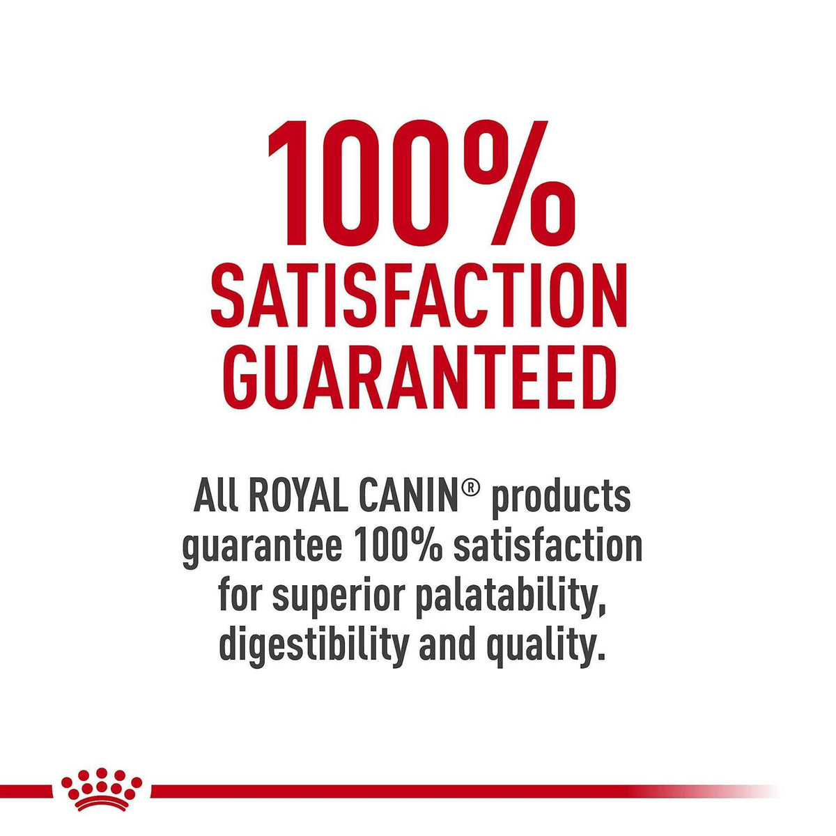 French Bulldog Puppy Dry Dog Food D923300