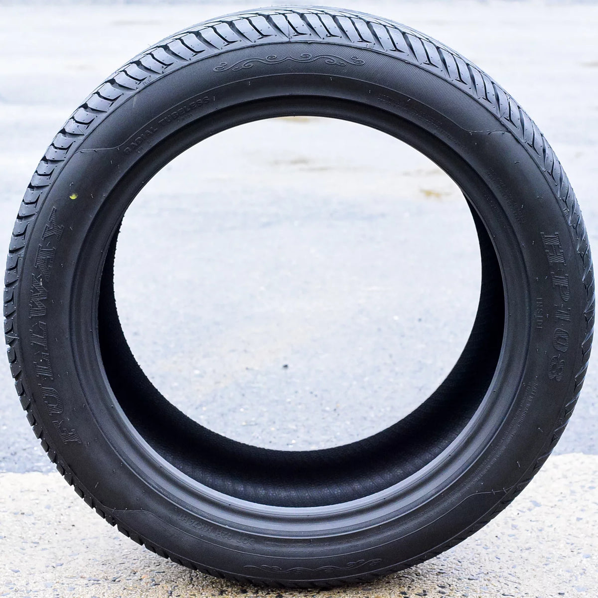 205/55R16 91V All Season Performance Tire C37886