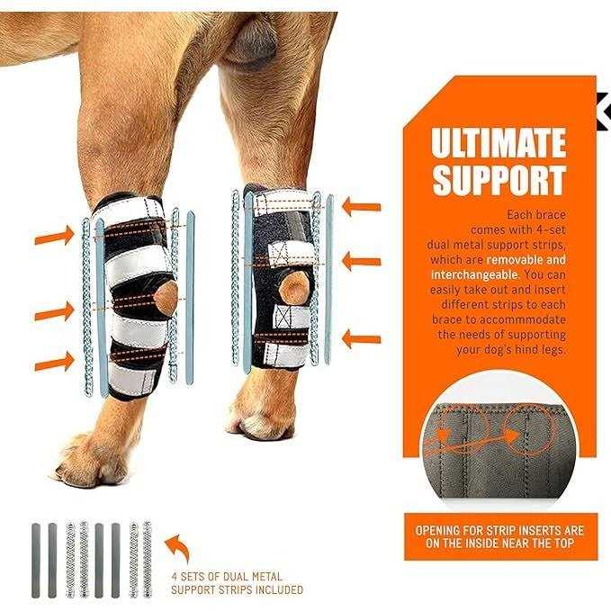 3-in-1 Dog Rear Leg Support Splint Braces R653127