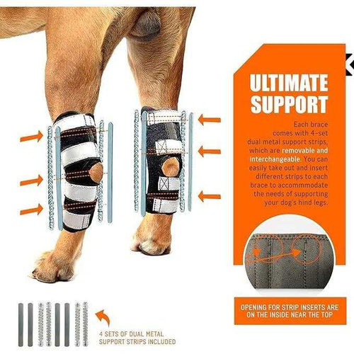 3-in-1 Dog Rear Leg Support Splint Braces R653127