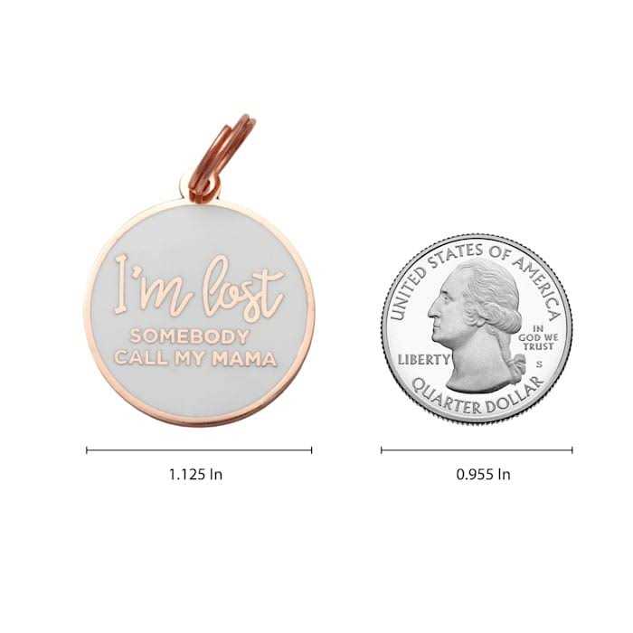 Rose Gold & White Pet ID Tag K281