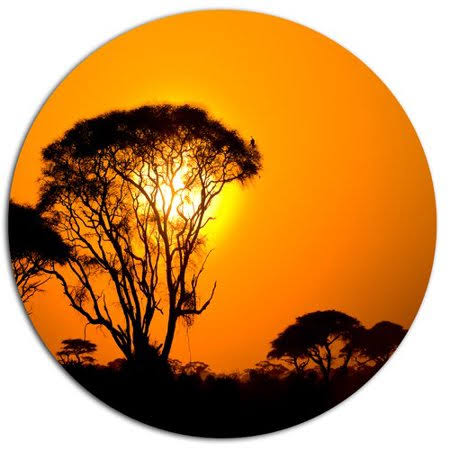 African Sunset Photographic Print on Metal 11x22 G5231