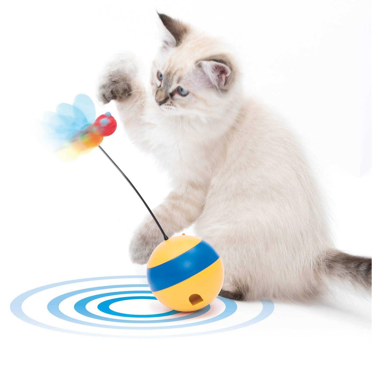 Interactive Cat Toy B542655
