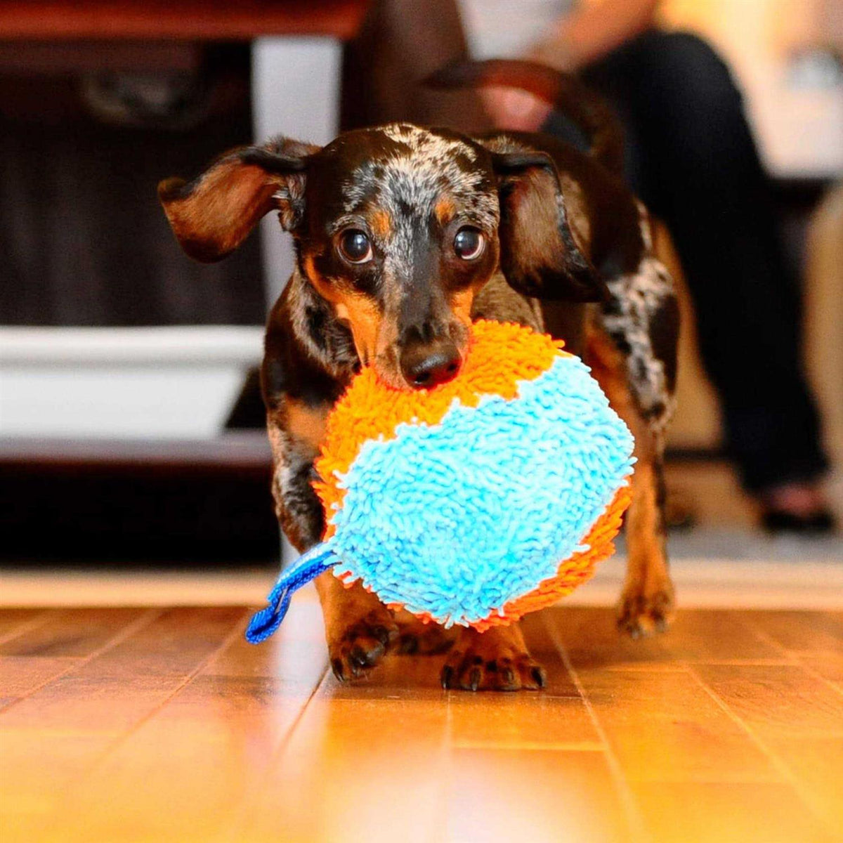 Indoor Dog Toy C290